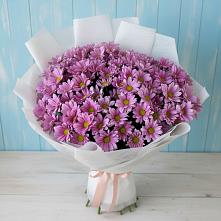 Букет цветов из:  Хризантемы в Медведь