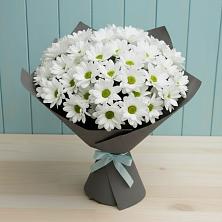 Букет цветов из:  Хризантемы в Медведь