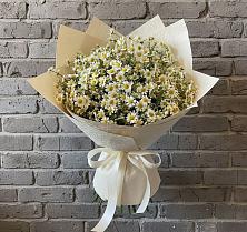 Букет цветов из:  Ромашки #REPLACE_PRED# Медведь