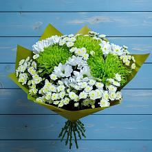 Букет цветов из:  Хризантемы #REPLACE_PRED# Медведь