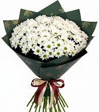 Букет цветов из:  Хризантемы в Медведь