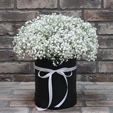 Цветочная композиция из Гипсофила в шляпной коробке #REPLACE_PRED# Медведь