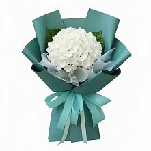 Букет цветов из:  Гортензия #REPLACE_PRED# Медведь